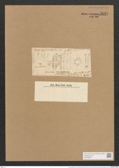 Cymbella cuspidata var. naviculiformis Auersw. (de-Toni-Nr.: Genus 33, Species 1383) Zeichnungen Sammlung Grunow Nr. 2621 (NHMW-BOT-W0369852)